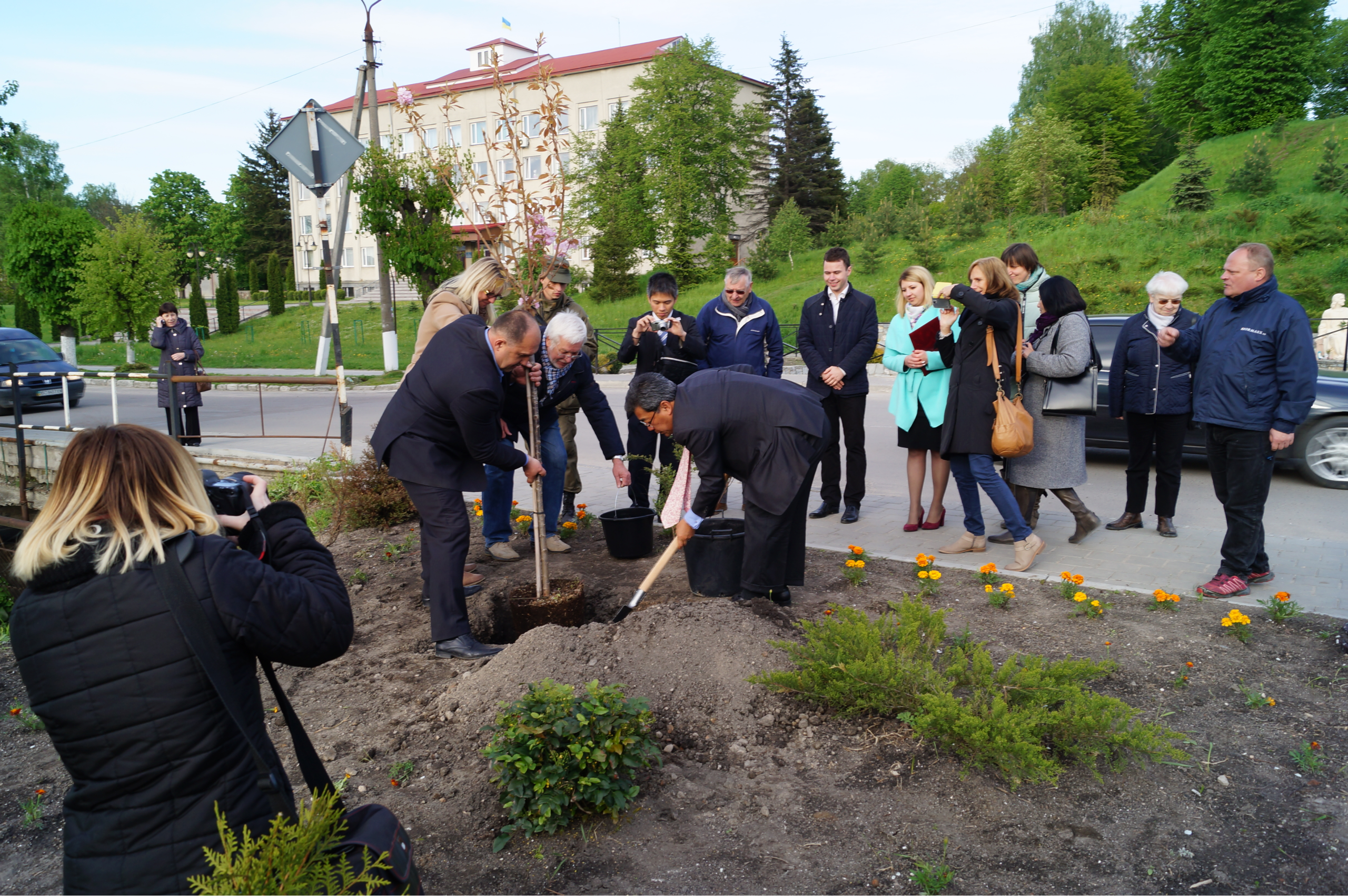 Baumpflanzung Japanische Kirschblüte mit dem japanischen Botschafter,  Bürgermeister Hrinkiw und Ehrenbürger Wolfgang Hoffhann.